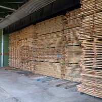 drying-oak_planks-eurochene