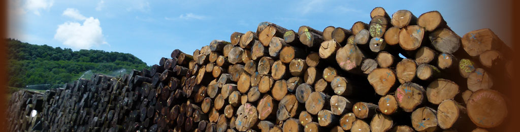 Aprovisionamiento de troncos de roble de bosques franceses