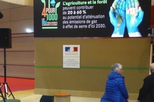 Tarimas de roble francès con nudos sanos Tarimas de roble francès con nudos sanos